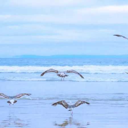 27 - Aan De Duinen, Aan Zee דירה *