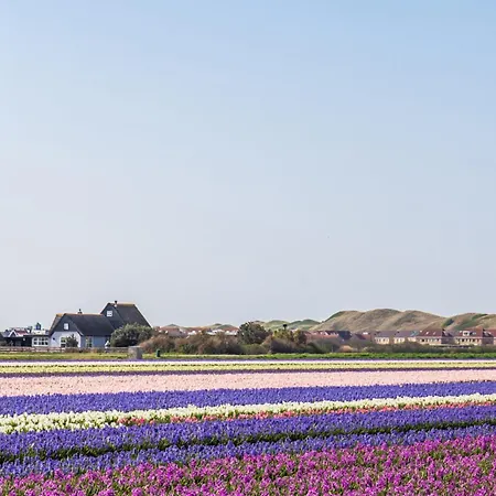 شقة 27 - Aan De Duinen, Aan Zee كالانتسوج